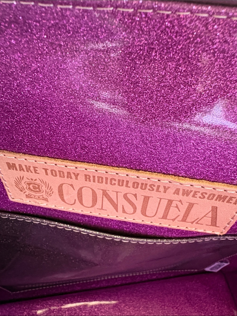 Consuela Vic tote BRAND NEW! - Picture 6 of 9